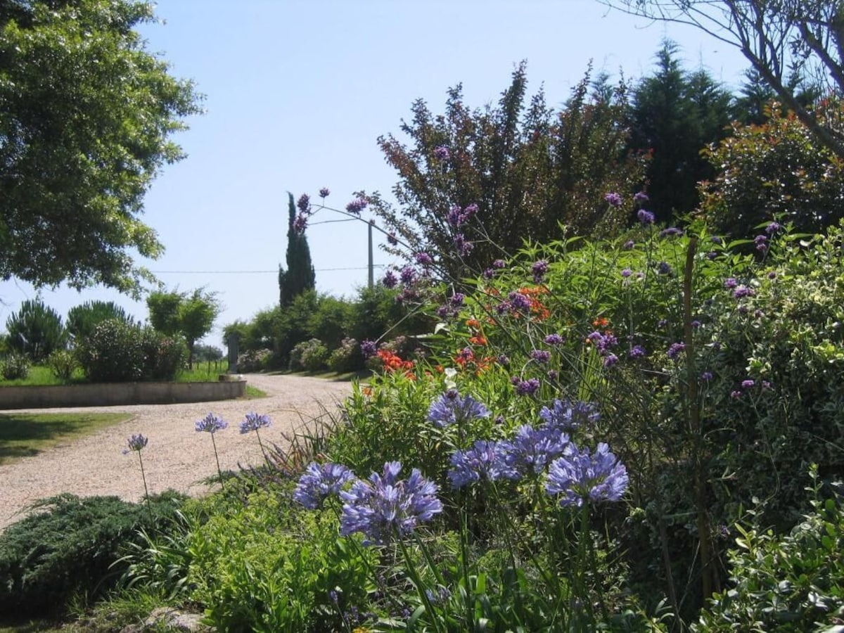 Domaine de Millox 5